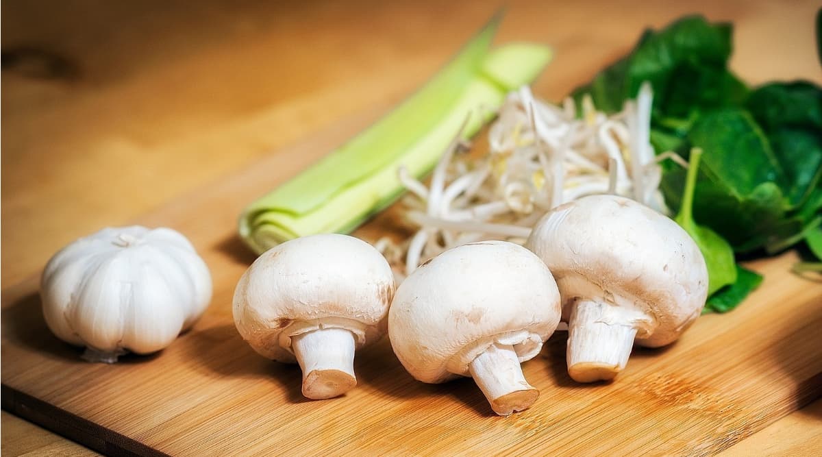 From Mushroom to Eggs, 7 Surprising Foods You Didn’t Know Could Kill You! From Mushroom to Eggs, 7 Surprising Foods You Didn’t Know Could Kill You!
