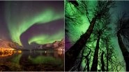 Is Northern Lights on Your Bucket List? Aurora Borealis Will be Less Active In Coming Years; Know Why