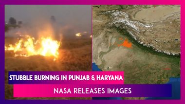 Delhi Air Quality: NASA Images Show Spike In Stubble Burning In Punjab, Haryana