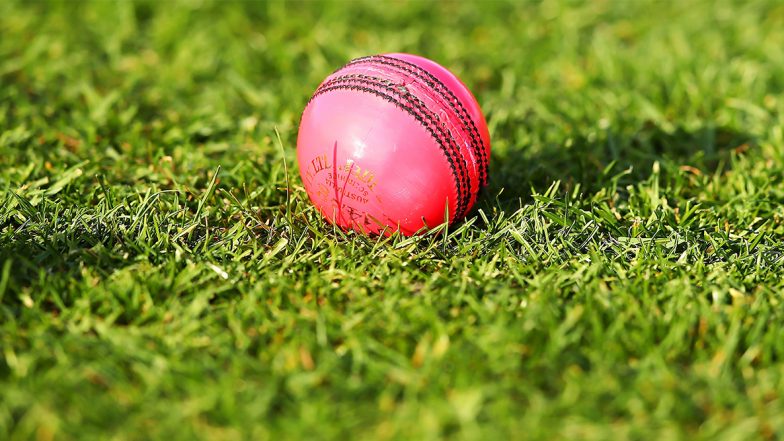 IND vs BAN Day-Night Test 2019: As Virat Kohli & Co Prepare for D/N Test Debut, A Look at Merits and Demerits of 'The Pink Ball Game'