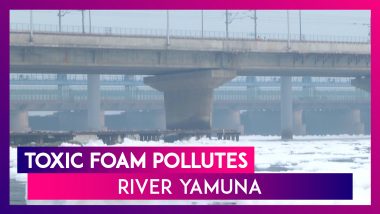 Alarming! Toxic Foam Pollutes India’s Holy River Yamuna