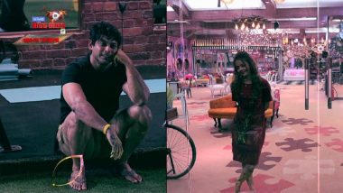 Bigg Boss 13: Sidharth Shukla And Devoleena Bhattacharjee Flirt With Each Other And We Are Confused