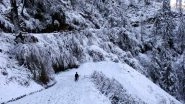 Winter Chill Grips North India, Temperature Dips Across States as Cold Waves Intensify in Punjab, Himachal Pradesh and Uttarakhand
