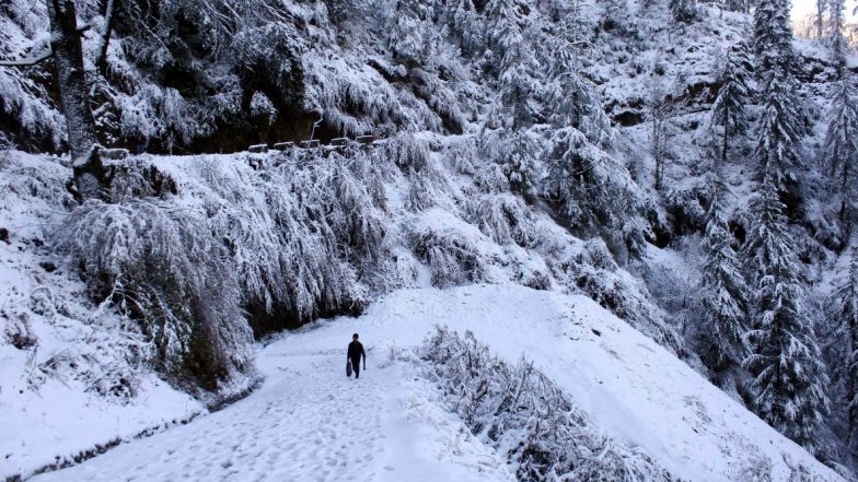 Winter 2019 in Images: Snowfall Turns Himachal Pradesh in Winter Wonderland