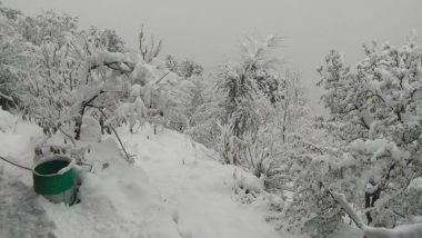 Vaishno Devi Shrine Receives Season’s First Snowfall, Highway Blocked Due to Heavy Snowfall in Kashmir Valley