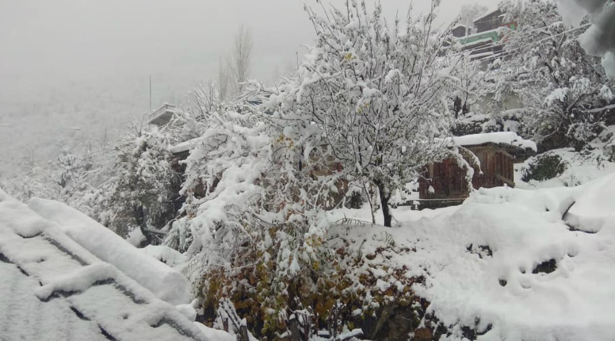 | Winter 2019 in Images: Snowfall Turns Himachal Pradesh in Winter ...