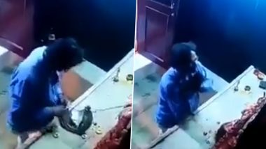 Hyderabad: Thief Prays to Idol Before Stealing the Crown of The Goddess, Gets Caught on Camera (Watch Viral Video)