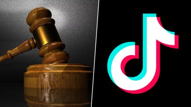 TikTok Tarnishing India's Image in the World & Spoiling Youth, Says Petition Before Bombay High Court