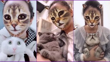 TikTok Users Are Trying Out The New Cat Filter With Their Pet Felines and The Reactions Are Priceless (Watch Viral Videos)