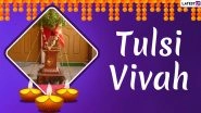 Tulsi Vivah 2019 Date: Significance, Mythology, Puja Muhurat Related to Ceremonial Marriage of the Goddess Tulsi to Lord Vishnu