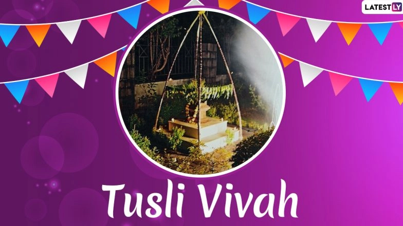 Tulsi Vivah 2019 Images & Wallpapers for Free Download Online: Send Happy Tulsi Vivah Wishes With Beautiful Photos And GIFs