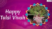 Tulsi Vivah 2019 Wishes: WhatsApp Stickers, Facebook Greetings, GIF Images, SMS And Messages to Send on The Festival