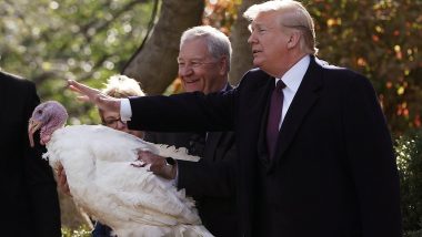 Turkey Pardon: What Is The Thanksgiving Tradition And What Happens to Those Birds?