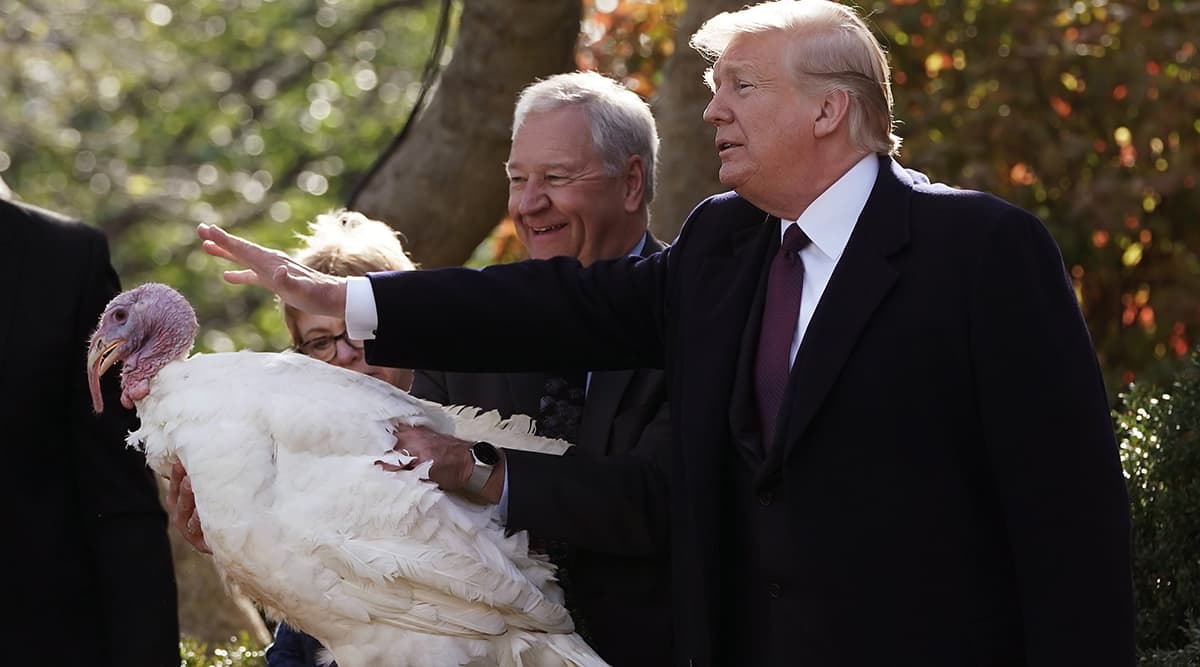 Turkey Pardon: What Is The Thanksgiving Tradition And What Happens to Those Birds? Turkey Pardon: What Is The Thanksgiving Tradition And What Happens to Those Birds?