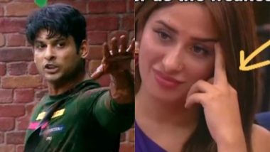 Bigg Boss 13: Did Mahira Sharma Show The Middle Finger To Sidharth Shukla On National Television? View Pic