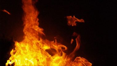 Mumbai Fire: Blaze Erupts at Crawford Market, 8 Fire Tenders Reach Spot to Control Raging Flames