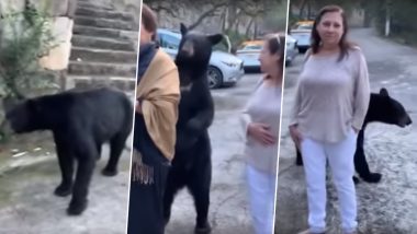 Wild Bear Approaches Woman And Strokes Her Hair at Mexico's Chipinque Ecological Park (Watch Video)