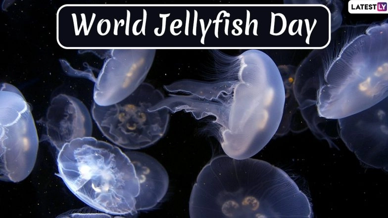 World Jellyfish Day 2019: Interesting Facts About This Amazing Marine Species That Exists Since 500 Million Years!