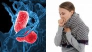Scientists Decode How Severe Viral Infection Causes Immune System 'Exhaustion'