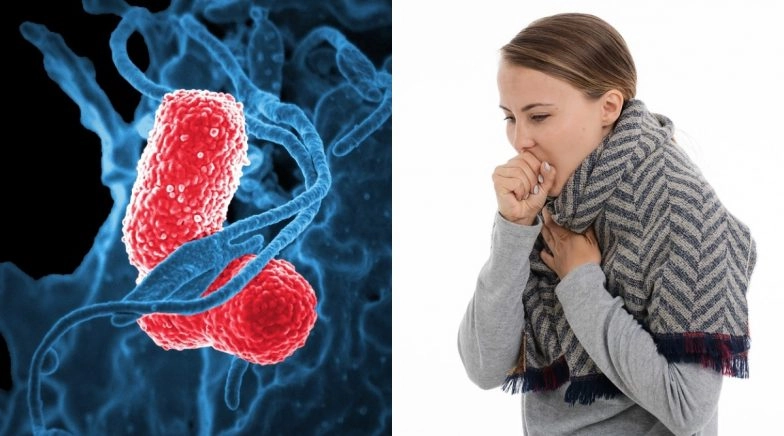 How Does The Killer Coronavirus Progress In Your Body?