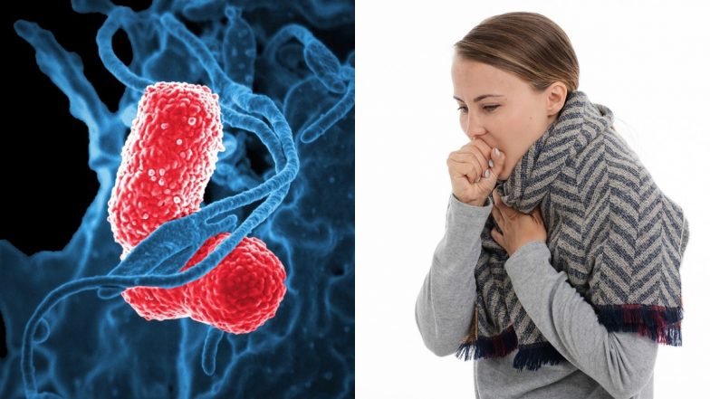 World Pneumonia Day 2019: Facts, Causes, Symptoms, Treatment And Prevention of The Deadly Infection