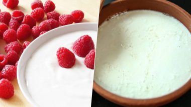 What is The Difference Between Curd and Yoghurt? Know How These Dairy Products Differ From Each Other and Which One's Healthier