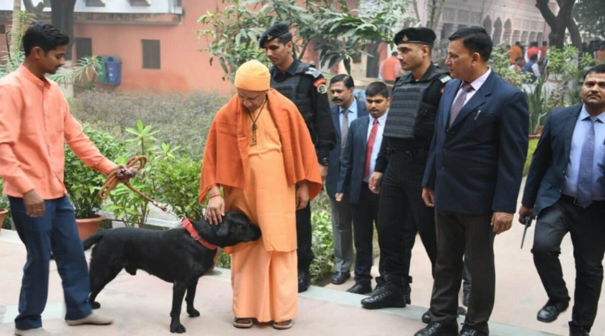 UP CM Yogi Adityanath's Pet Dog Kalu Becomes an Internet Sensation After Pictures of the Black Labrador Go Viral UP CM Yogi Adityanath's Pet Dog Kalu Becomes an Internet Sensation After Pictures of the Black Labrador Go Viral