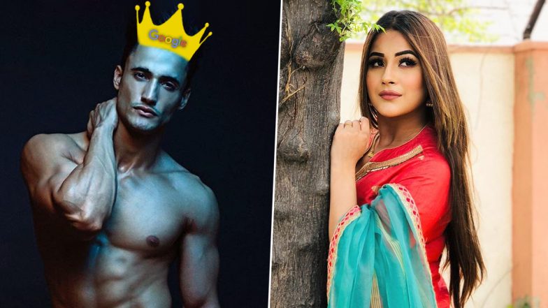 Bigg Boss 13: Google Declares Asim Riaz As The Winner and Shehnaaz Gill as The First Runner-Up Of The Show, Wait What?