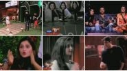 Bigg Boss 13 Day 32 Preview: Rashami Desai Is Tagged 'Dogli', Wildcard Entrants Rate Contestants