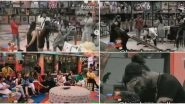 Bigg Boss 13 Day 53 Preview: Himanshi Khurana Pushes Shehnaaz Gill, Rashami Desai and Khesari Lal Yadav The Victims Of Another Surprise Eviction? (Watch Video)