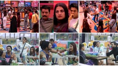 Bigg Boss 13 Day 53 Highlights: Is Asim Riaz In Love With Himanshi Khurana? Says Shefali Jariwala