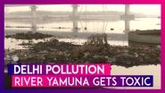 Delhi Pollution: Locals Suffer As River Yamuna Gets Toxic