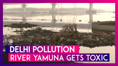 Delhi Pollution: Locals Suffer As River Yamuna Gets Toxic