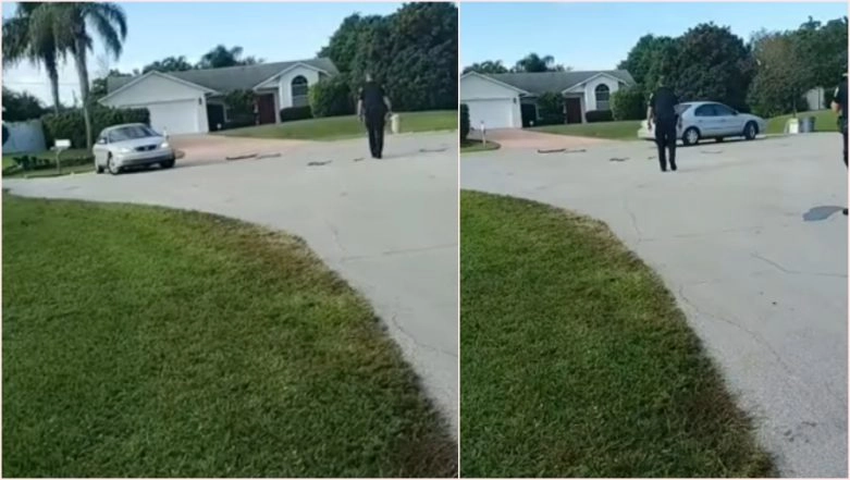 Dog accidentally put car in reverse and takes circles for an hour. 