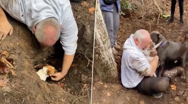 Dog trapped in foxhole was reunited with his owner. 