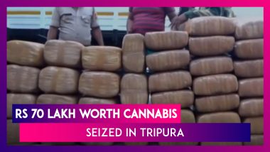 Tripura: 88 Packets Of Cannabis Worth Over Rs 70 Lakh Seized, One Detained