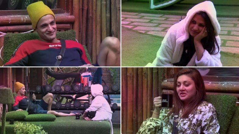 Bigg Boss 13: Himanshi Khurana Tells Asim Riaz That 'She Has Feelings For Him', What About Her 9 Year-Old Relationship Outside The House? (Watch Video)