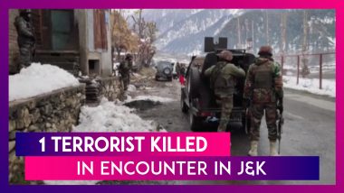 Jammu & Kashmir: One Terrorist Killed In Encounter With Security Forces In Ganderbal