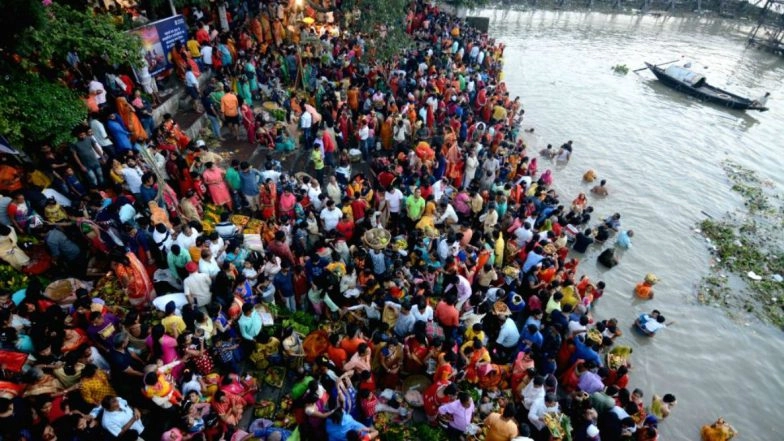 Dead Fish, Turtle Seen Floating Near Rabindra Sarobar Lake in Kolkata After Chhath Puja 2019 Celebrations