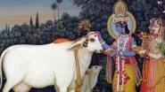 Gopashtami 2019 Images and Messages Shared by Netizens on Twitter to Mark the Festival That Celebrates the Auspicious Tale of Govardhan Giri and Lord Krishna