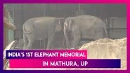 India&rsquo;s First Elephant Memorial Opens Up In Mathura, Uttar Pradesh
