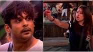 Bigg Boss 13 Day 36 Highlights: Sidharth Shukla Hurts Mahira Sharma During Captaincy Task, Here&rsquo;s What Happens Next