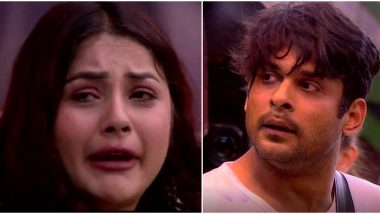 Bigg Boss 13 Day 37 Preview: Sidharth Shukla Thrown Out, Shehnaaz Gills Cries for Him