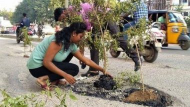 Hyderabad: Locals Stage Protest by Planting Trees Inside Potholes on Roads