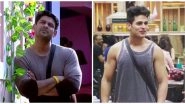 Bigg Boss: From Sidharth Shukla to Priyank Sharma, Here Are 15 Contestants Who Were Thrown out from the Show over Bad Conduct
