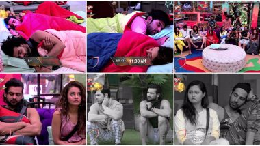 Bigg Boss 13: Vishal Aditya Singh, Paras Chhabra and Devoleena Bhattacharjee's Laziness Costs Them The Captaincy Task