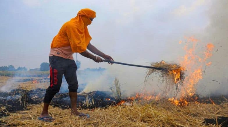 Punjab: Stubble Burning Count Crosses 48,000 Mark