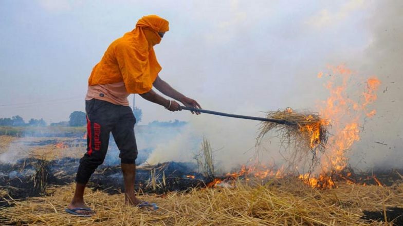 Punjab: Stubble Burning Count Crosses 48,000 Mark, Despite Rs 100 Per Quintal Incentive to Farmers to Stop Burning Crop Residue