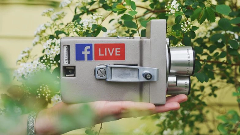 Viral Videos of the Week: From Venice Floods to Judge Holding Baby During Mom’s Swearing-In As Attorney, Watch 5 Clips That Captured Internet’s Attention