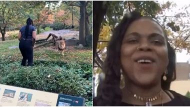 Woman Who Climbed Into Bronx Zoo's Lion Enclosure Now Claims She's Reincarnated Into a Lion (Watch Video)